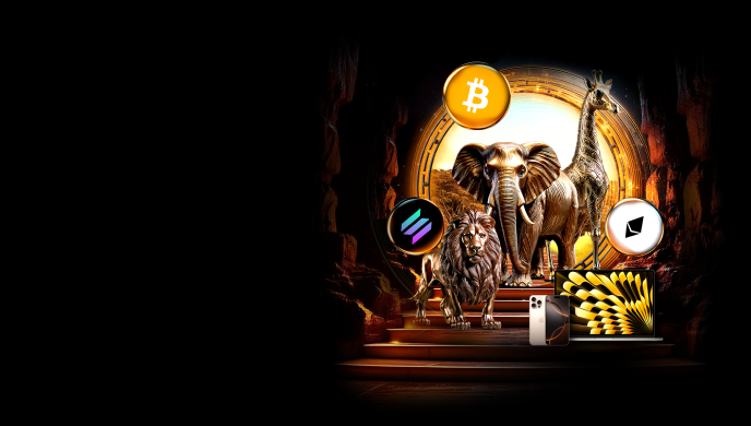 campaign-icon