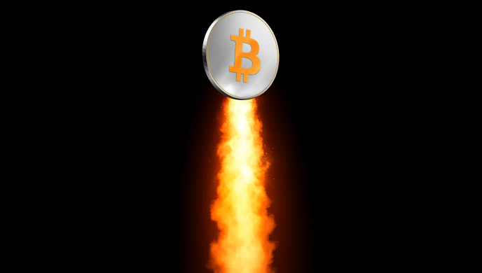 campaign-icon
